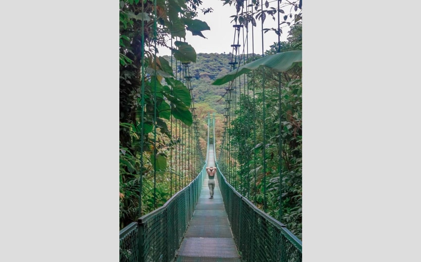 Monteverde Cloud Forest Reserve