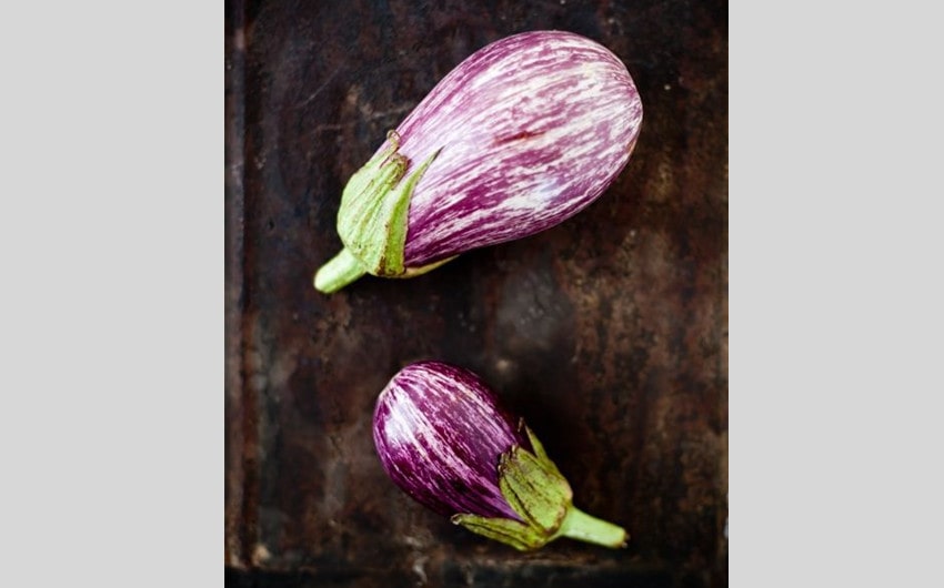 Zebra Eggplant
