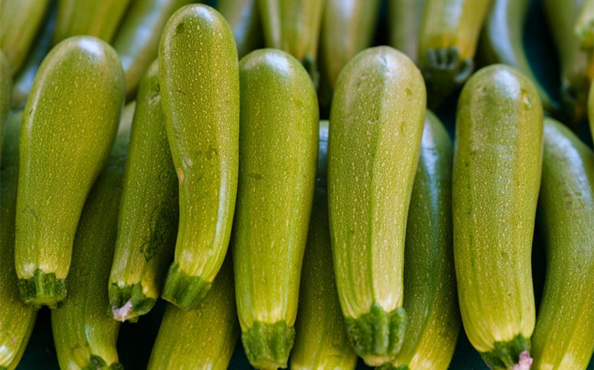 Zucchini
