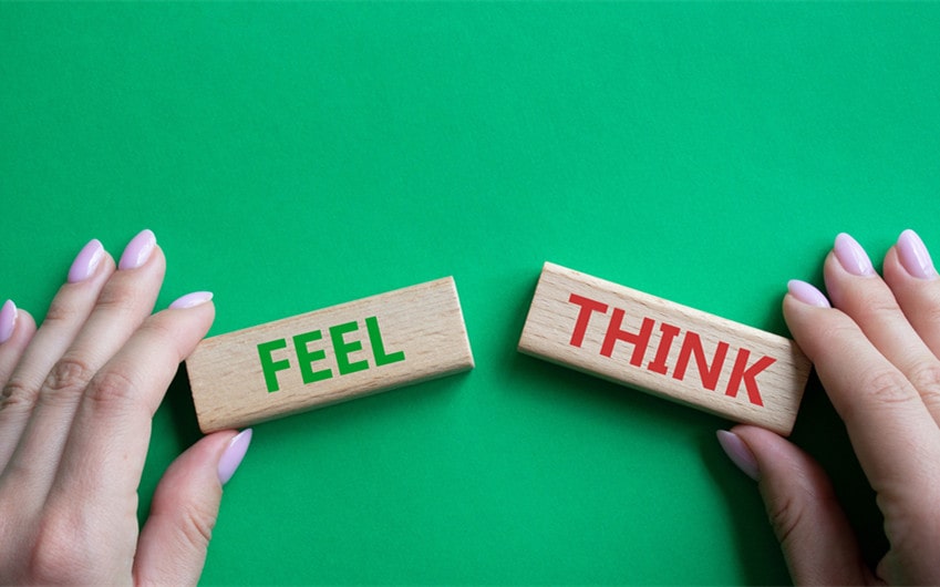 words that ryhme with feel