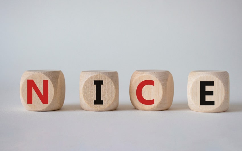 words that ryhme with nice