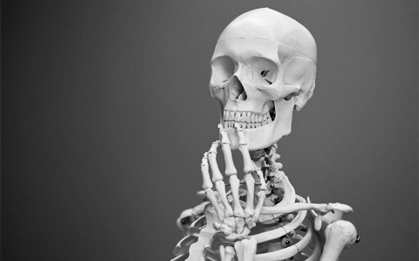 Bone Puns and Wordplay