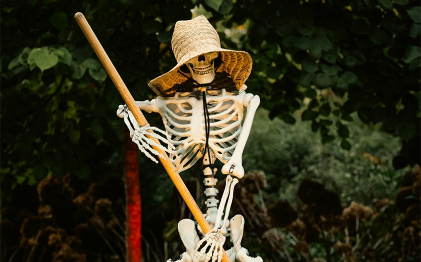 Food-Themed Skeleton Names
