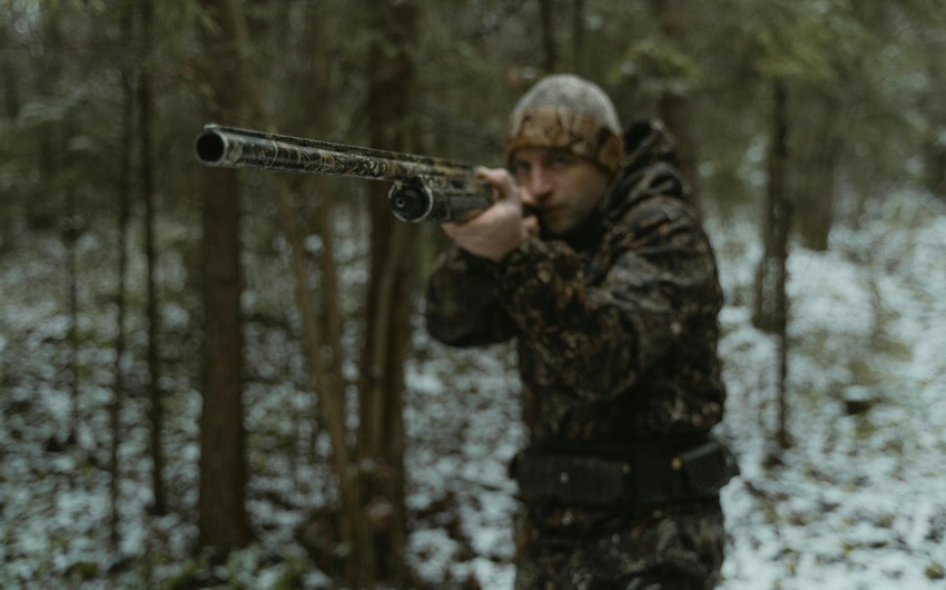 Human Impact on Wolves