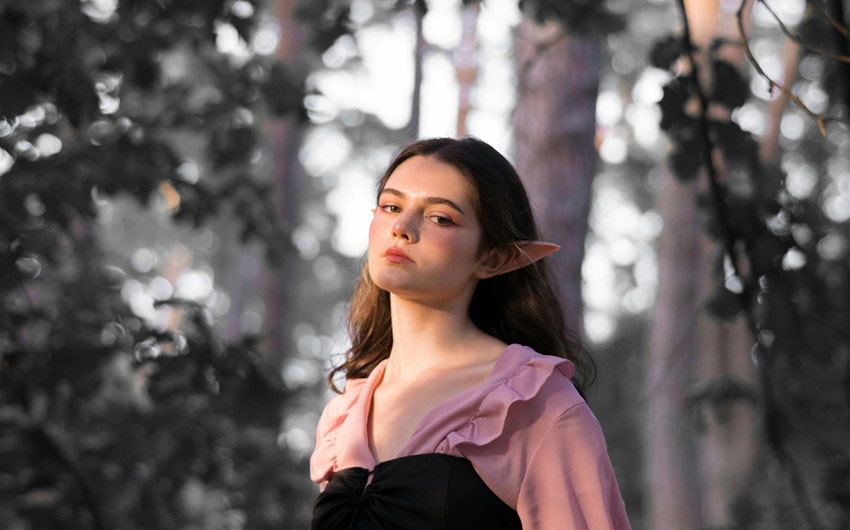 Wood Elf